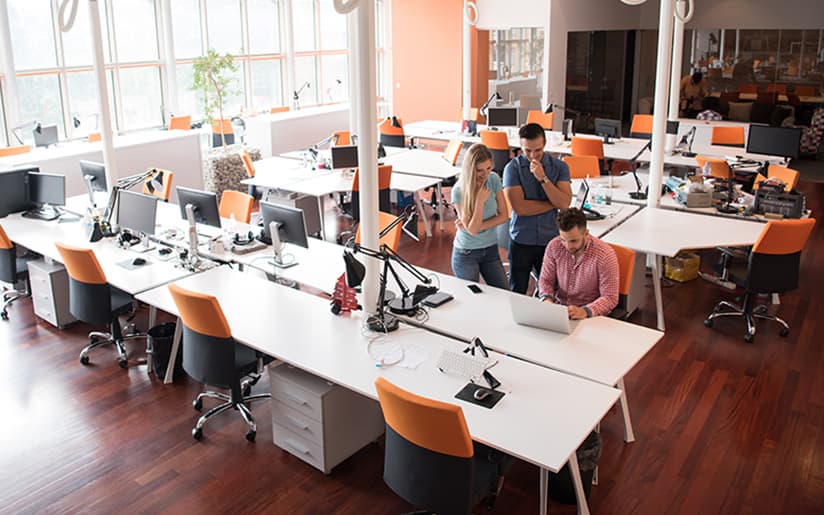 Employees gathered working in office space.
