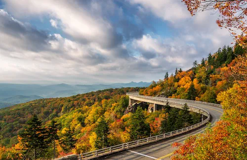 Rural North Carolina landscape and road