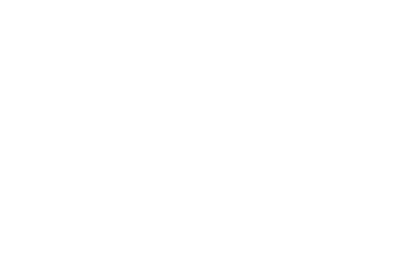 Shelter Solutions logo