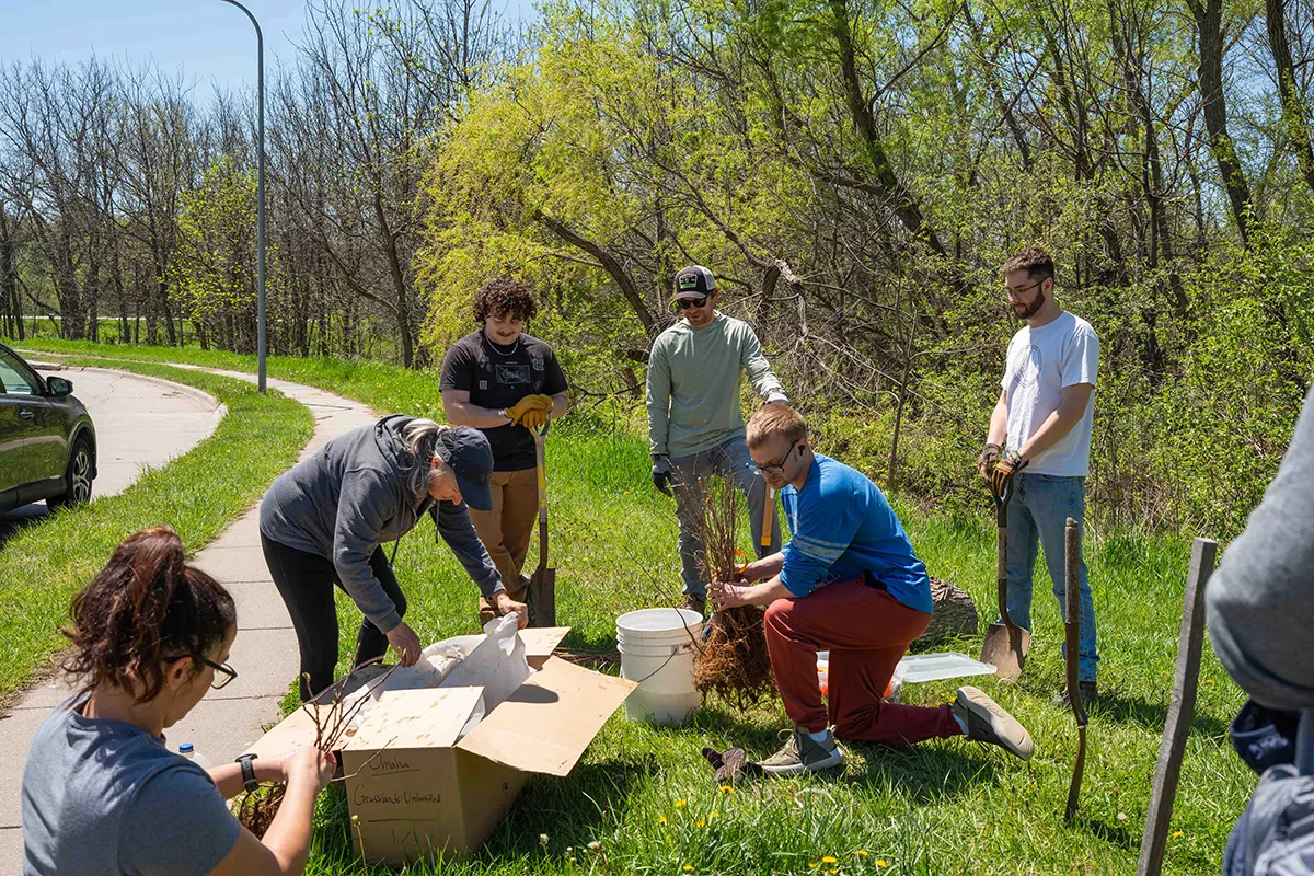 Volunteers working outdoors near a grassy area planting young trees and preparing materials for a community project.