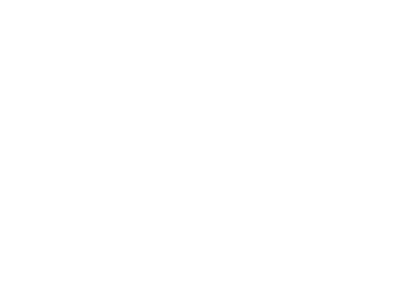 RPD Custom Pools logo