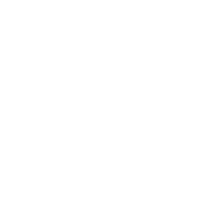 Scroggs construction services logo